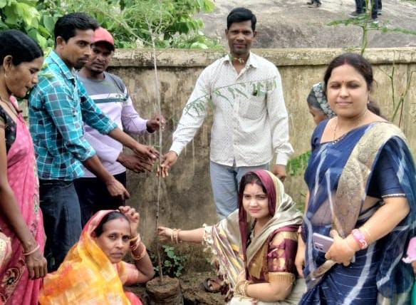 बागबाहरा : कसेकेरा विद्यालय में मां रूपई एक पौधे तेरे नाम की... - CG Sandesh