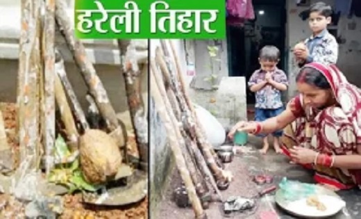 Hareli 2024 : छत्तीसगढ़ में किसानों का प्रमुख त्योहार हरेली,... - CG Sandesh