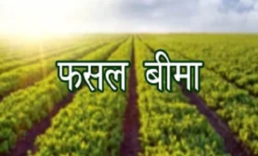 किसान अब 16 अगस्त तक करा सकेंगे फसल बीमा ,छत्तीसगढ़ सरकार के प्रस्ताव पर केन्द्र सरकार ने दी सहमति
