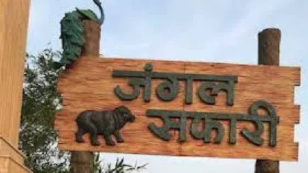 जंगल सफारी में 24 अगस्त को होगा तितलियों पर वॉक और टॉक का आय... - CG Sandesh