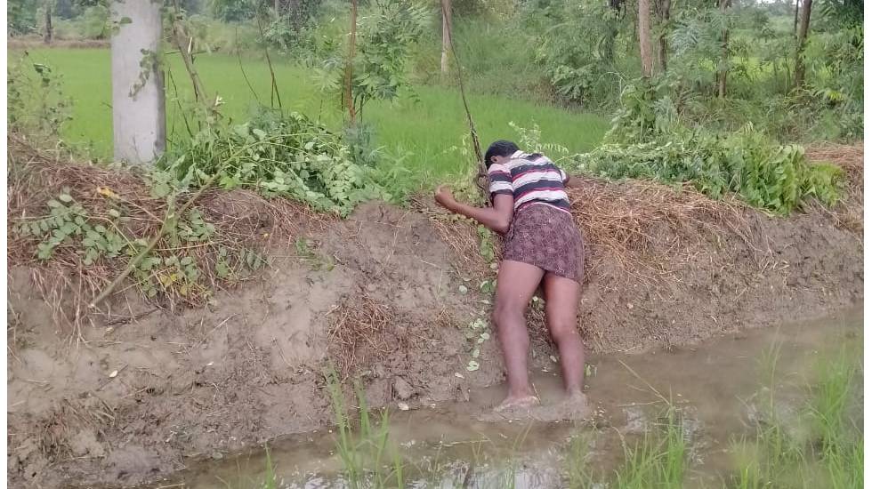 बसना : खेत मेढ़ की सफाई कार्य करते समय स्टे तार से बिजली करंट लगने से मौत