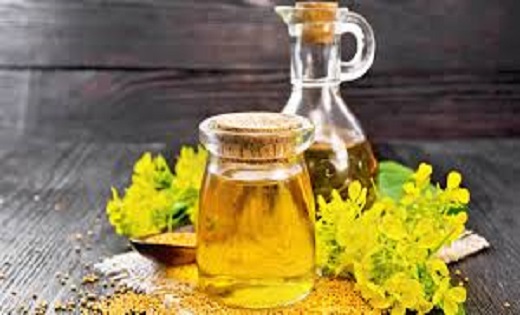 Mustard Oil Benefits: सरसों का तेल है अमृत समान, इसका इस्तेम... - CG Sandesh