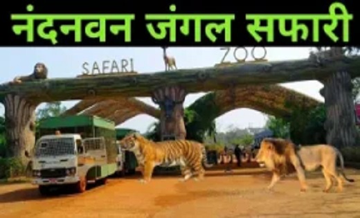 पर्यावरण सुरक्षा के लिए पहल : आज से नंदनवन जंगल सफारी होगा प्लास्टिक फ्री