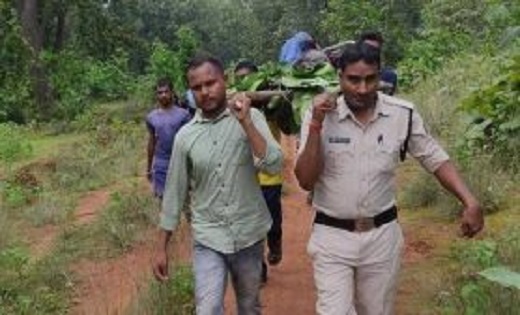कोरबा : लकड़ी लेने जंगल गए तीन ग्रामीणों पर दो भालूओं ने किय... - CG Sandesh
