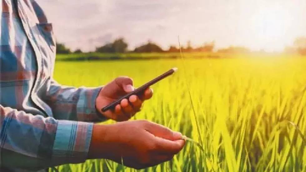 छत्तीसगढ़ में खरीफ 2024 हेतु डिजिटल फसल सर्वेक्षण के लिए महा... - CG Sandesh