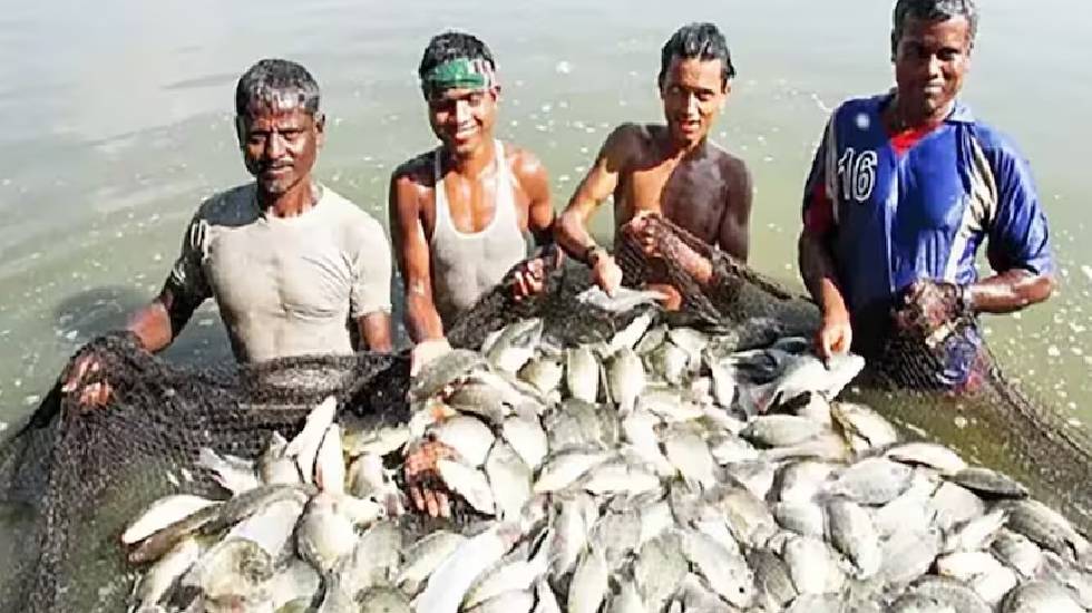 महासमुंद : मछली पालन के लिए 10 वर्षीय पट्टे पर जलाशय देने के... - CG Sandesh