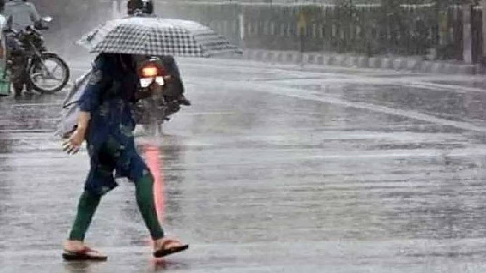 महासमुंद : सर्वाधिक वर्षा पिथौरा तहसील में; बसना में 798.7, ... - CG Sandesh