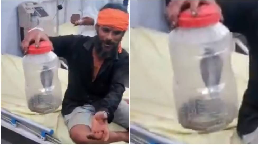 जहरीले सांप ने काटा, सांप को पकड़कर अस्पताल पहुंचा शख्स - CG Sandesh
