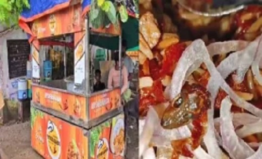 Jhansi : फास्ट फूड की दुकान से पैक कराई थी वेज बिरयानी, घर ज... - CG Sandesh