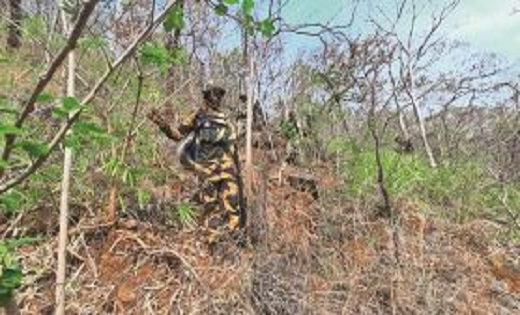 ओडिशा बॉर्डर पर सुरक्षा बलों और नक्सलियों के बीच मुठभेड़, जम... - CG Sandesh