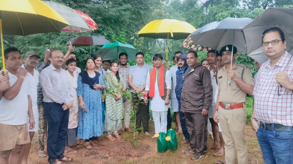 महासमुंद : विधायक सिन्हा ने एक पेड़ मां के नाम पर वन परिसर मे... - CG Sandesh