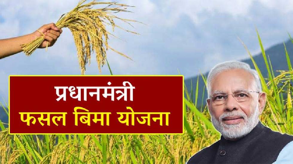 महासमुंद : खरीफ फसलों के बीमा कराने की अंतिम 16 अगस्त 2024 त... - CG Sandesh
