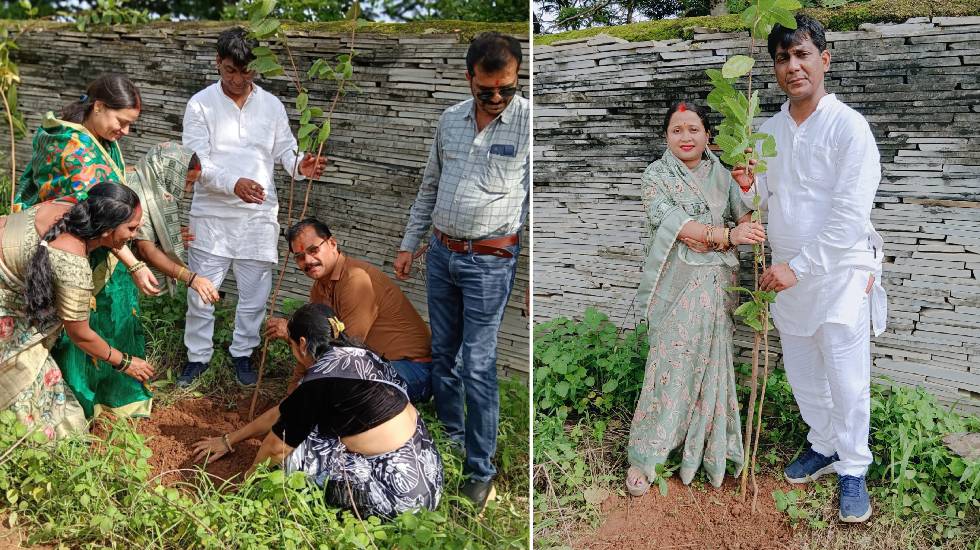 महासमुंद : हरेली त्योहार के अवसर पर विधायक ने किया पौधा रोपण - CG Sandesh