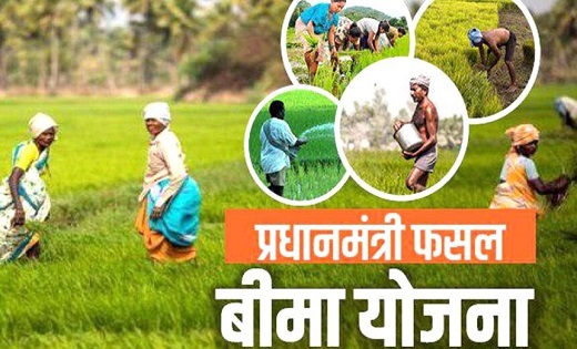  किसानों के लिए खुशखबरी: फसल बीमा कराने की अंतिम तिथि बढ़ी, अब इस तारीख तक कर सकते हैं आवेदन