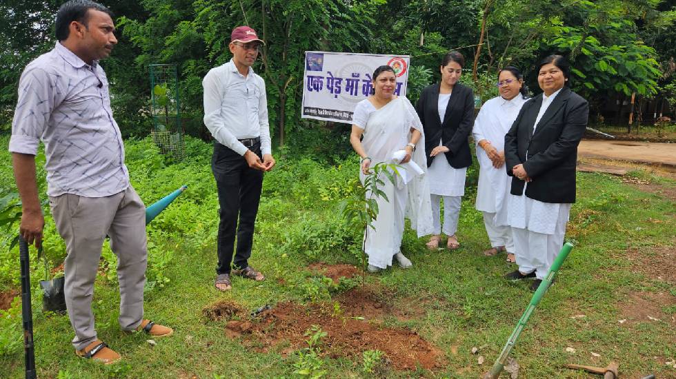 महासमुंद : न्यायाधीशगण सहित न्यायालयीन कर्मचारियों द्वारा लग... - CG Sandesh