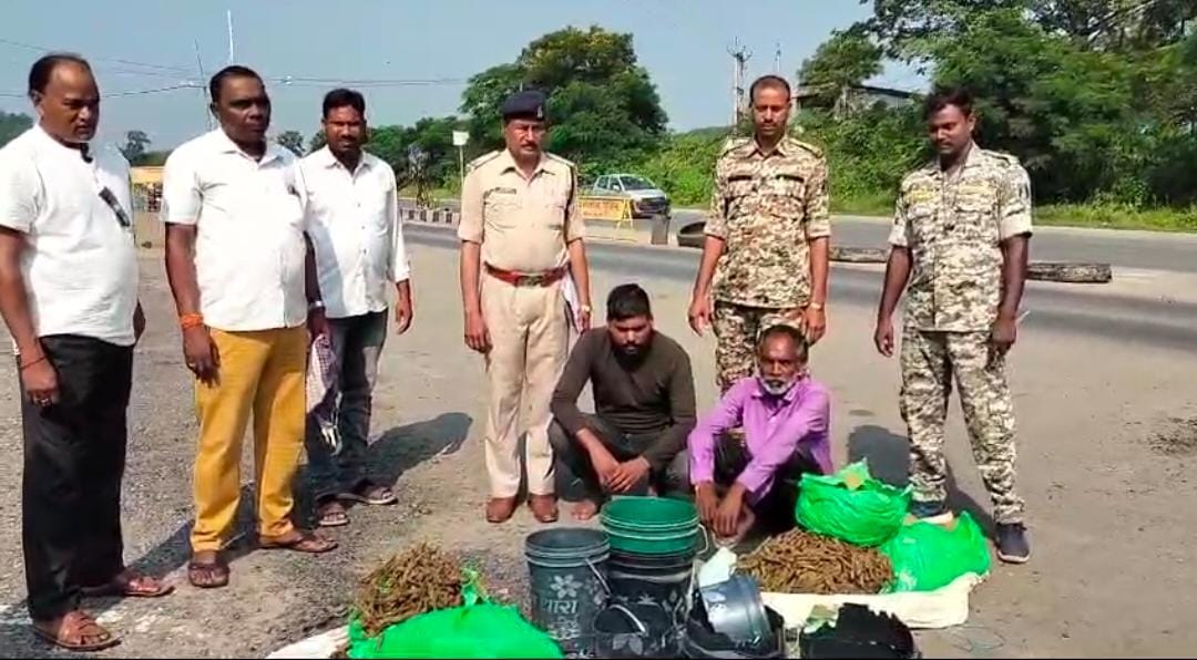 महासमुंद : 22 किलो गांजा के साथ 2 अंतर्राज्यीय तस्कर गिरफ्ता... - CG Sandesh