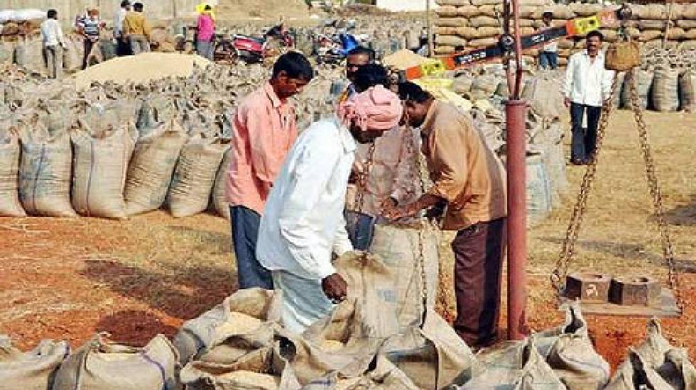 धान विक्रय हेतु वन पट्टाधारी किसानों का अनिवार्य रूप से करें... - CG Sandesh