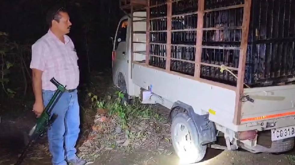 CG : तीन लोगों की जान लेने वाले खूंखार भालू को रेस्क्यू टीम ... - CG Sandesh