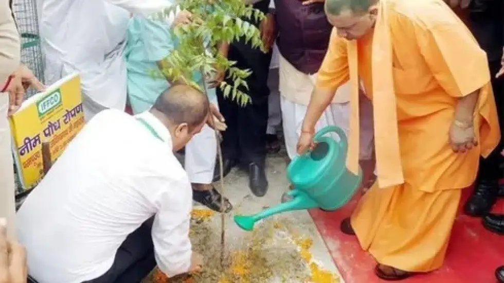 एक पेड़ माँ के नाम: देशभर में अभियान को मिल रही व्यापक सफलता... - CG Sandesh