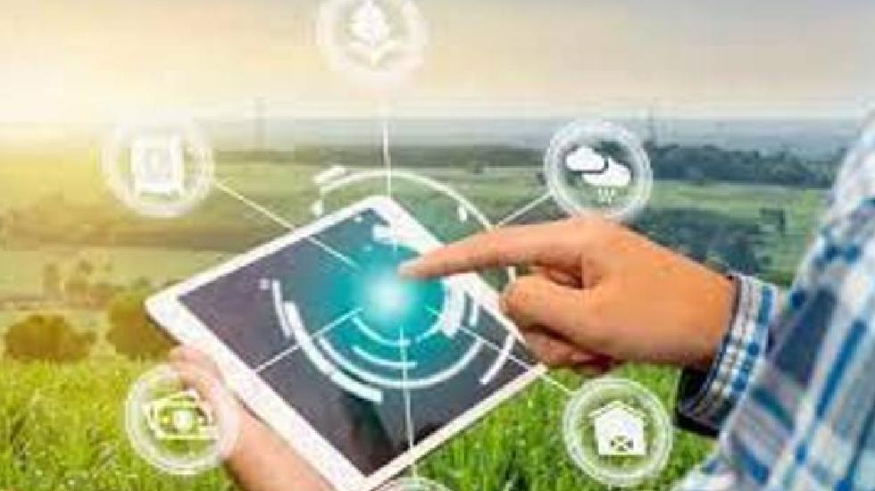 महासमुंद : डिजिटल गिरदावरी 30 सितंबर तक पूर्ण करने का लक्ष्य - CG Sandesh
