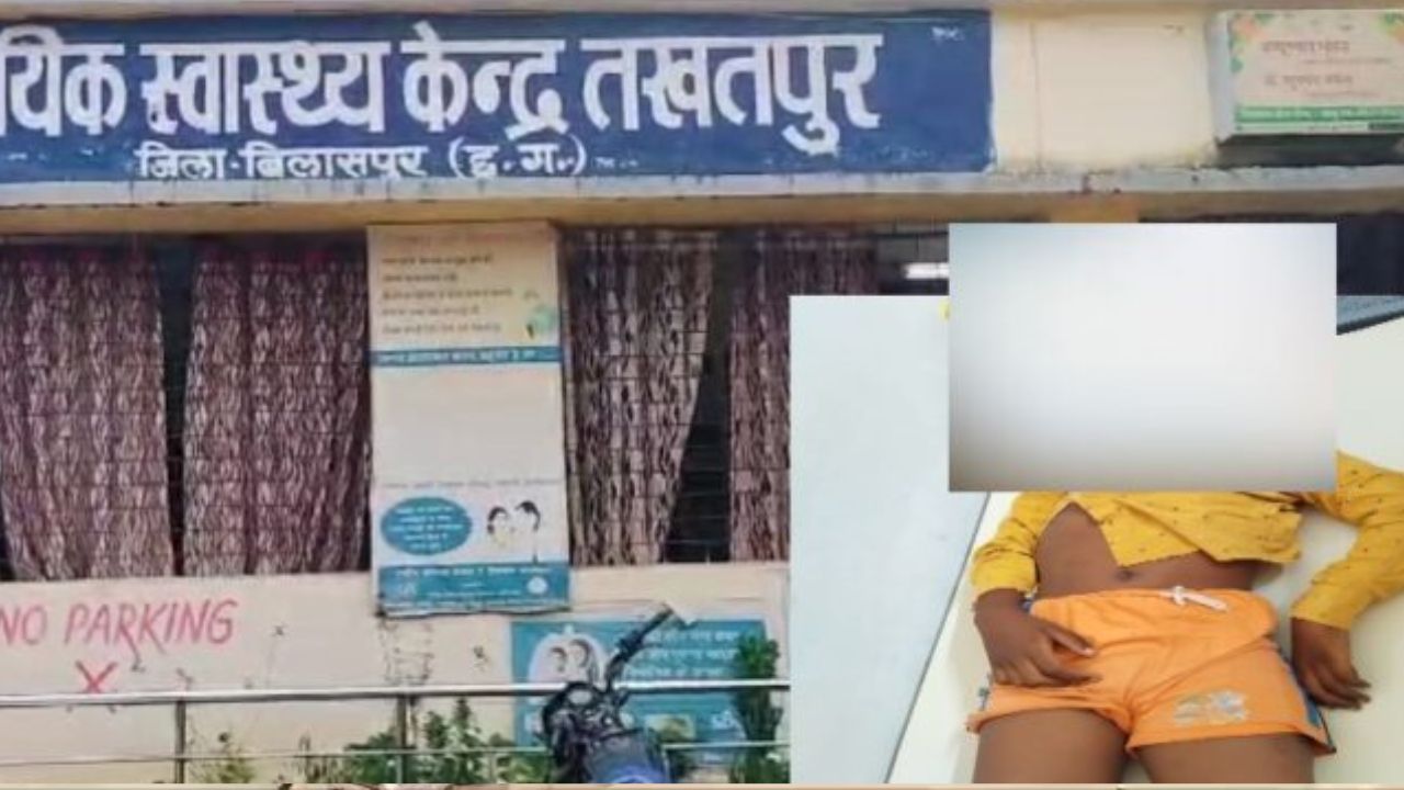  CG : सांप के कांटने से 8 साल की बच्ची की मौत  - CG Sandesh