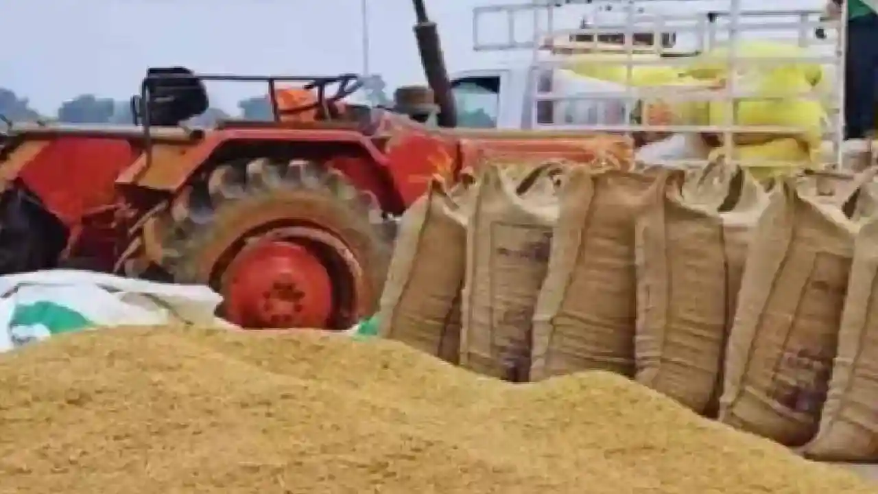 एग्रीस्टेक पोर्टल में किसानों का पंजीयन कार्य जारी - CG Sandesh
