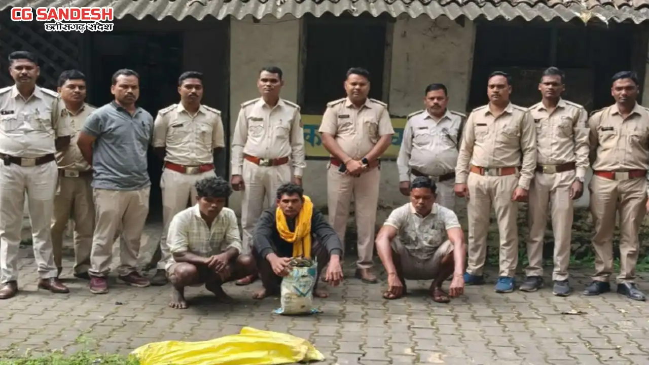 रायगढ़ में मृत हाथी का मामला सुलझा, तीन आरोपी गिरफ्तार - CG Sandesh