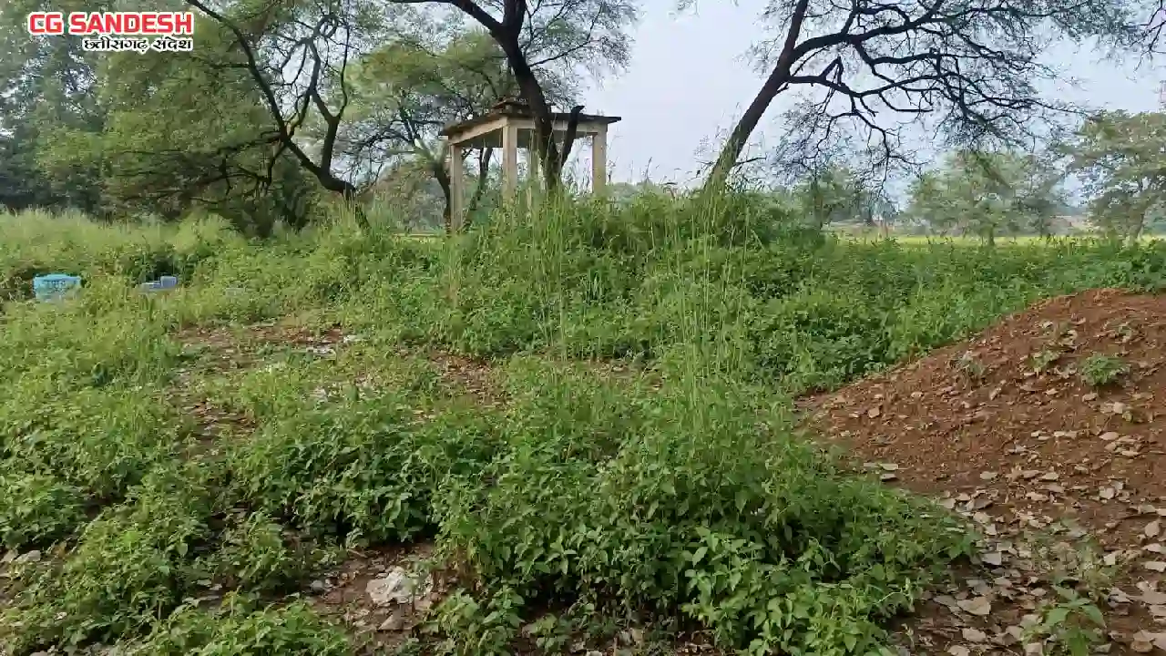 बलौदाबाजार : भ्रष्टाचार का गढ़ बनता जा रहा है ग्राम पंचायत मु... - CG Sandesh