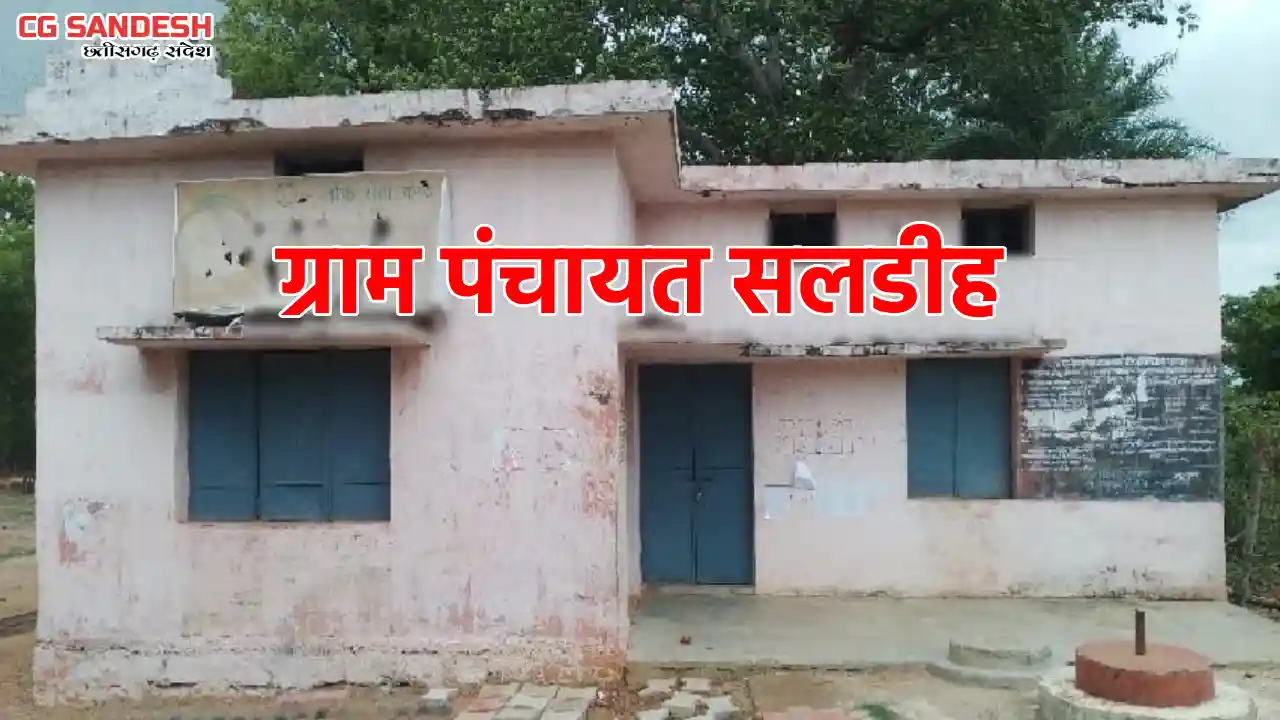पिथौरा : ग्राम पंचायत सलडीह में किस काम के लिए कितना किया गय... - CG Sandesh