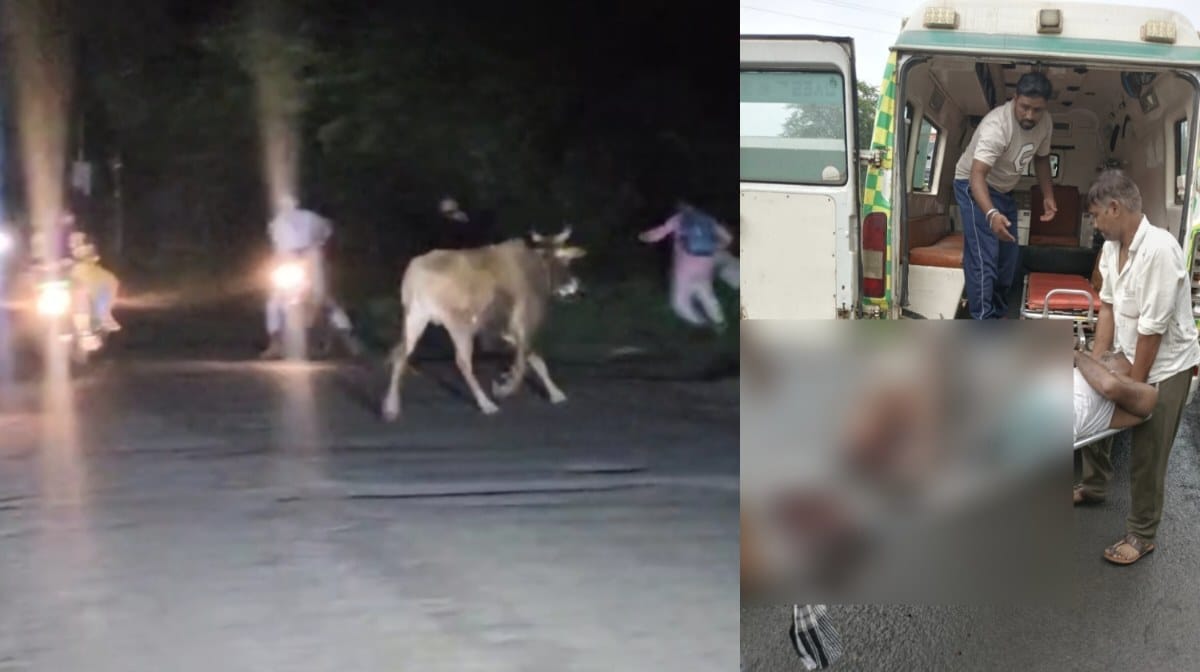 CG : सांड का आतंक, 5 लोगों पर किया हमला, एक की मौत, दहशत में... - CG Sandesh