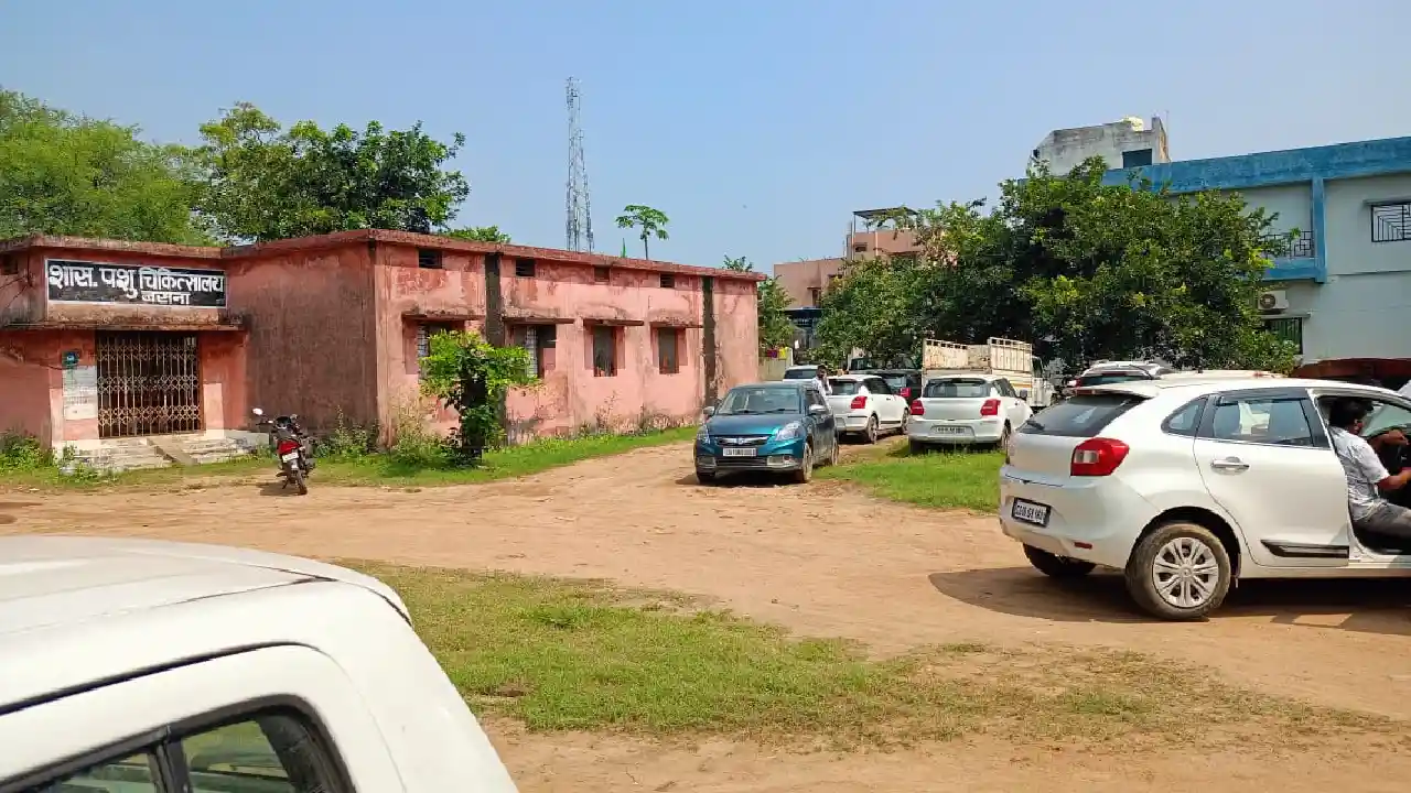 बसना : अतिक्रमणकारियों के हौसले बुलंद, शासकीय परिसर के भीतर ... - CG Sandesh