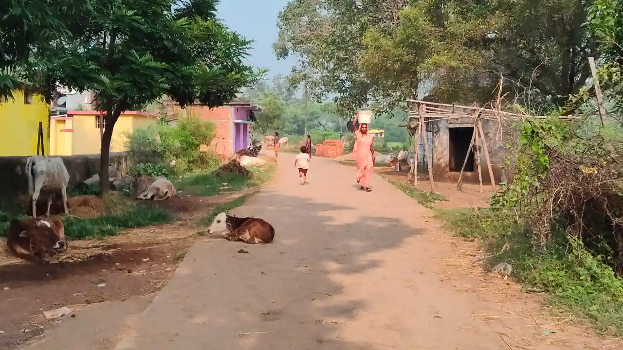 बलौदाबाज़ार : ग्राम पंचायत मुंडा में पेयजल संकट,  नल-जल योजन... - CG Sandesh