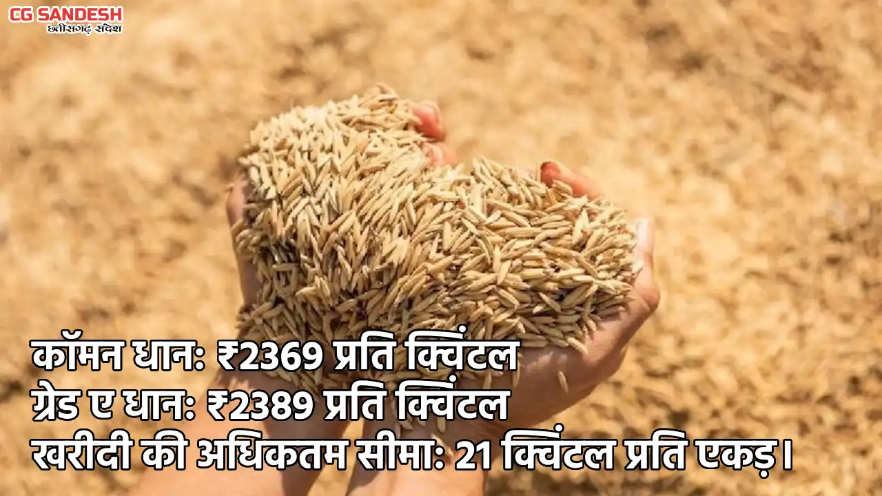 समर्थन मूल्य पर की जाएगी धान की खरीदी, अधिकतम सीमा 21 क्विंट... - CG Sandesh