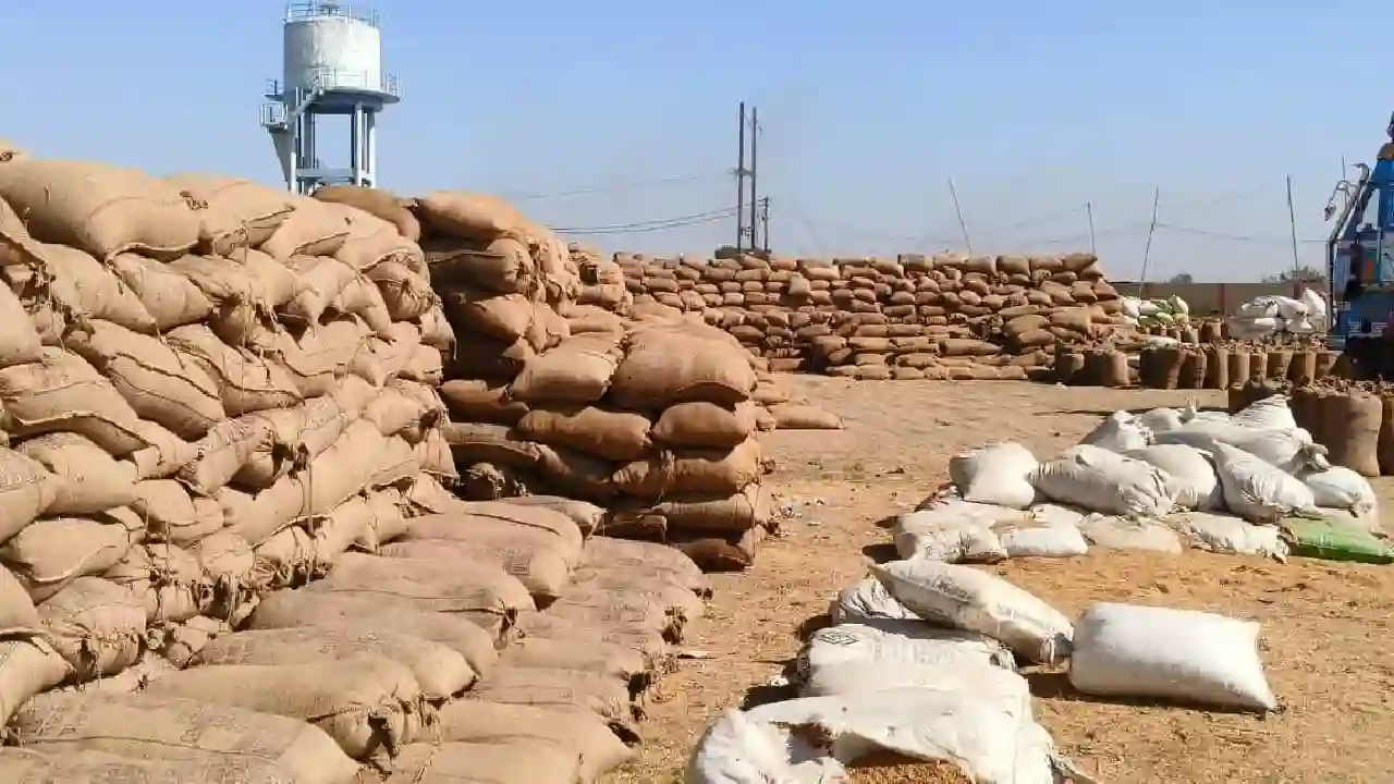 CG : एग्रीस्टेक पोर्टल बना किसानों के लिए सिर दर्द, धान तैया... - CG Sandesh