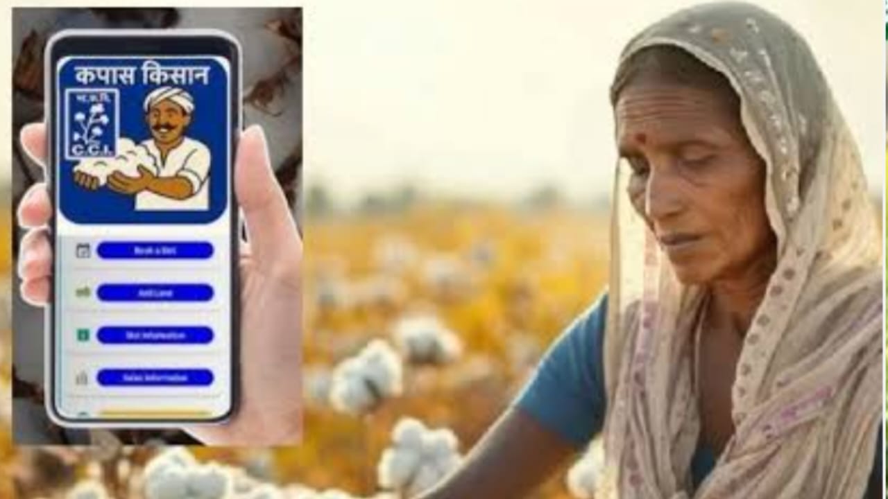 अब स्मार्टफोन से बिकेगी कपास, MSP का पूरा पैसा सीधे खाते में, जानिए 