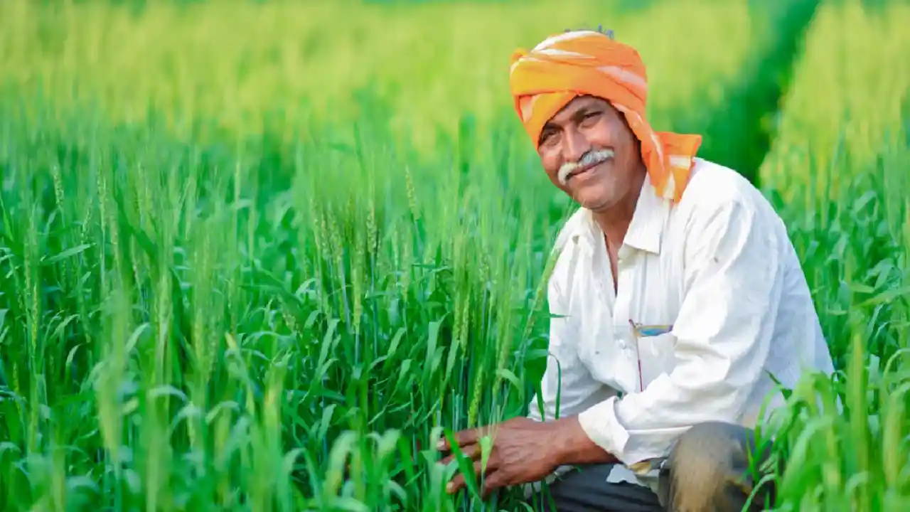 किसानों के लिए शुरू होगी पीएम धन-धान्य कृषि योजना - CG Sandesh