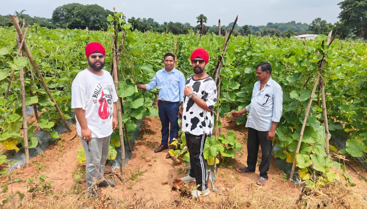 बसना : खेती को बनाया व्यवसाय, 4 एकड़ से की शुरुआत अब 40 एकड़ म... - CG Sandesh