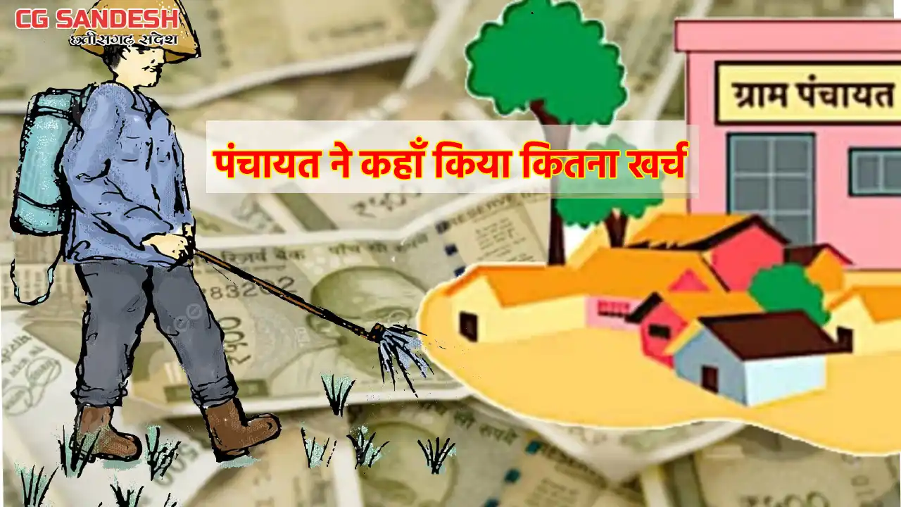 पिथौरा : कीटनाशक छिड़काव के लिए 12800 रुपए खर्च, 3 लाख के खर... - CG Sandesh