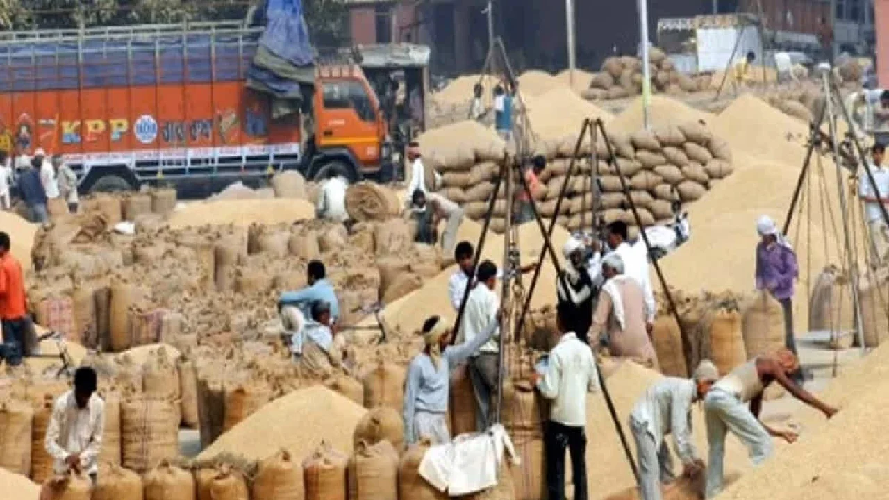 धान खरीदी कार्य से इंकार करने वाले 13 कर्मचारी बर्खास्त, 3 क... - CG Sandesh