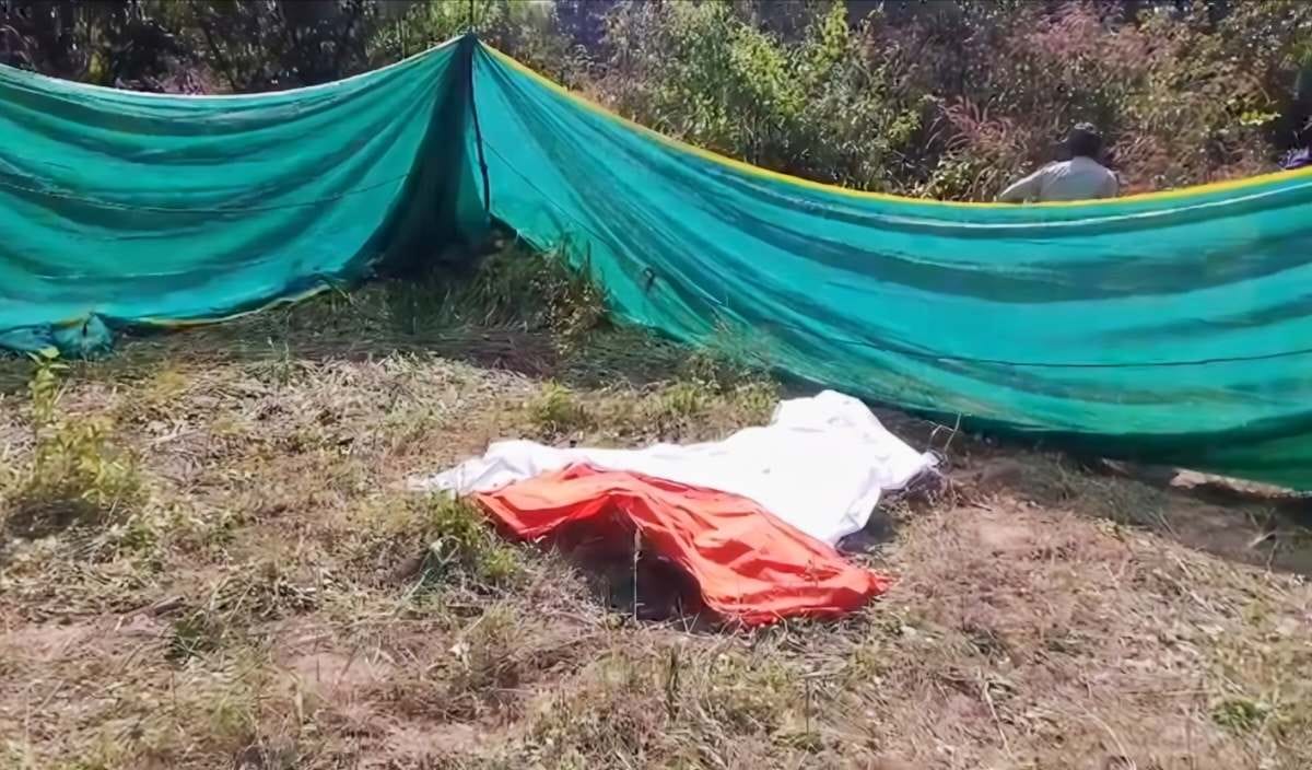 CG : हाथियों ने कुचलकर ले ली ग्रामीण की जान, रात को गांव पहु... - CG Sandesh