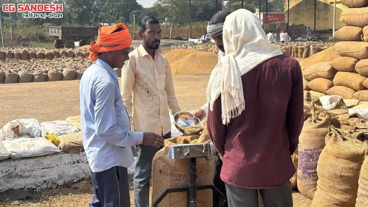 महासमुंद : अब तक 51 हजार 555 टन से अधिक धान की खरीदी, सभी के... - CG Sandesh