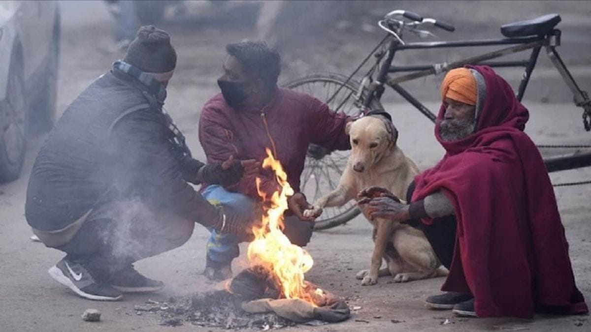   छत्तीसगढ़ में बढ़ी ठंड, इन जिलों में शीतलहर की चेतावनी  - CG Sandesh