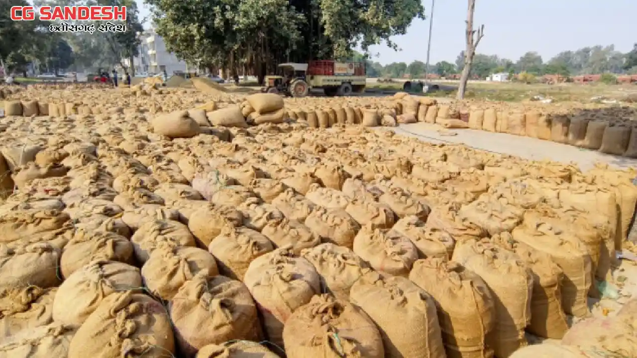 महासमुंद : 15 नवम्बर से जिले में समर्थन मूल्य पर धान खरीदी ह... - CG Sandesh