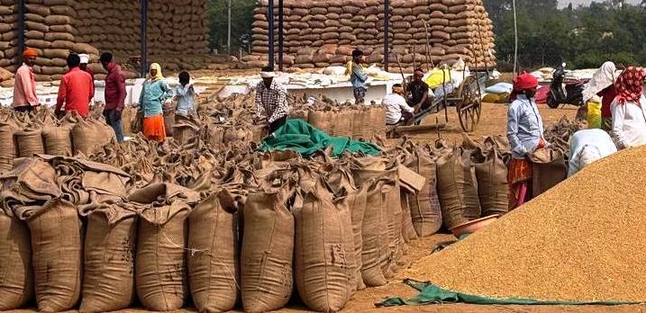 महासमुंद : अब तक 131667 किसानों से 822286.72 टन धान खरीदा गय... - CG Sandesh