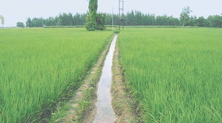 महासमुंद : रबी सिंचाई वर्ष 2024-25 के लिए इन गांव में जल प्र... - CG Sandesh