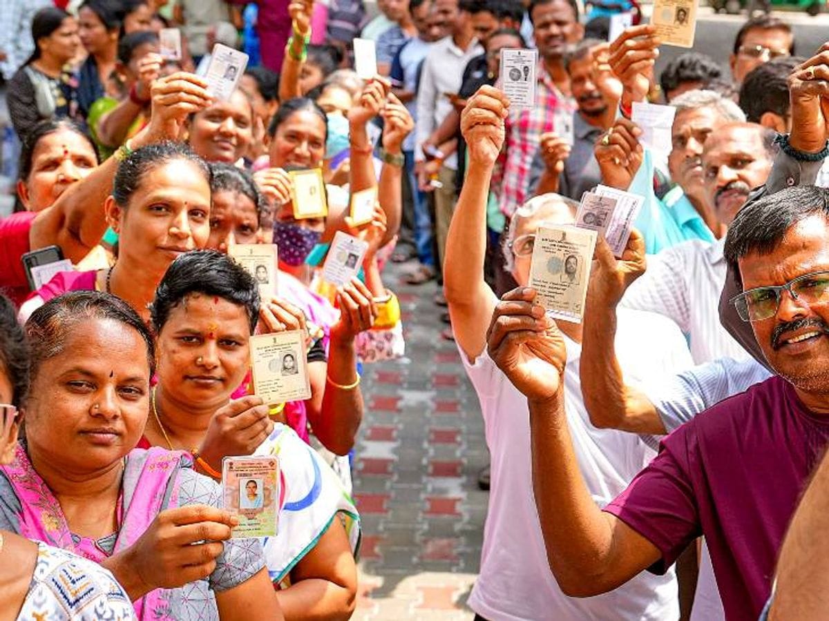 CG : पिकनिक मनाने के लिए रखे थे देसी मुर्गे, पड़ोसी के कुत्त... - CG Sandesh
