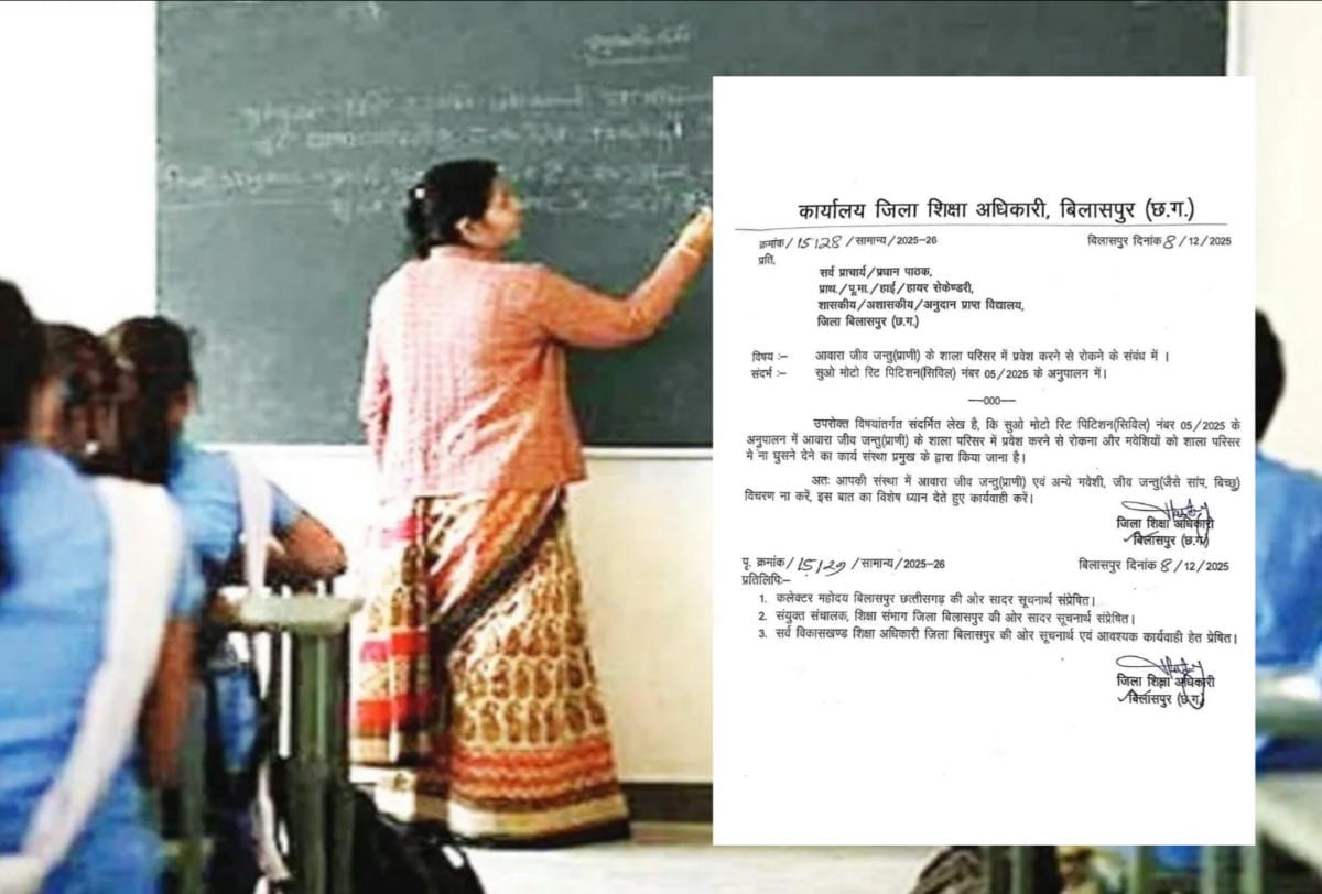 CG : छत्तीसगढ़ के शिक्षकों को नया फरमान जारी, साँप, बिच्छू और... - CG Sandesh