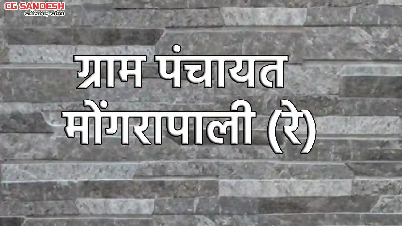बागबाहरा : ग्राम पंचायत मोंगरापाली (रे) ने सायकल स्टैंड बनान... - CG Sandesh