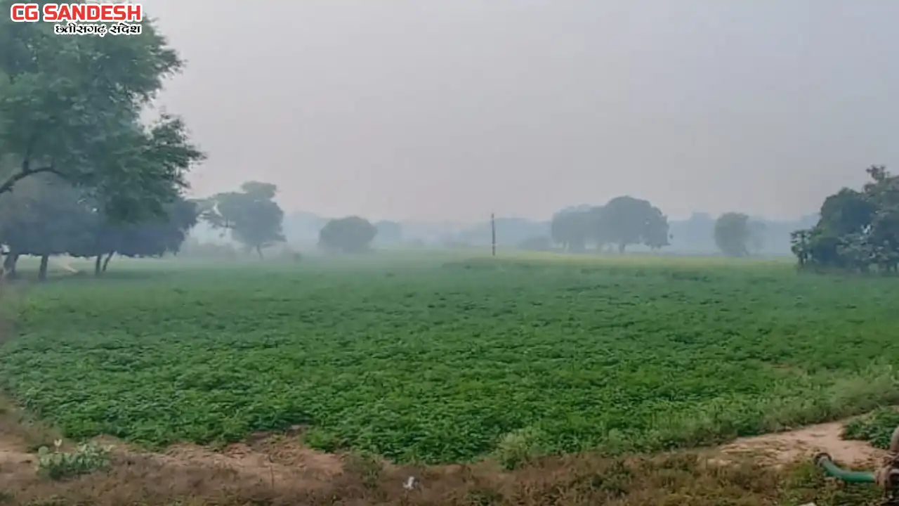 महासमुंद : स्वास्थ्य विभाग द्वारा ठंड से बचाव हेतु दिशा निर्... - CG Sandesh