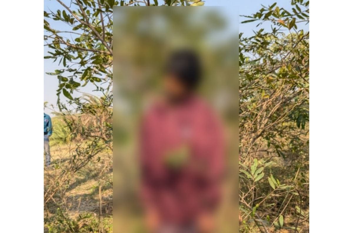CG : पेड़ पर लटकती मिली किसान की लाश, मचा हड़कंप  - CG Sandesh